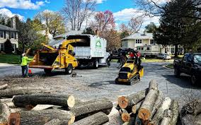 Best Tree Mulching  in Ignacio, CO